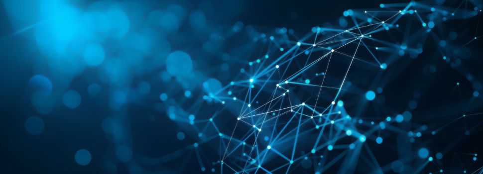 The Chip Insider®–A Tribute to Barry Rapozo