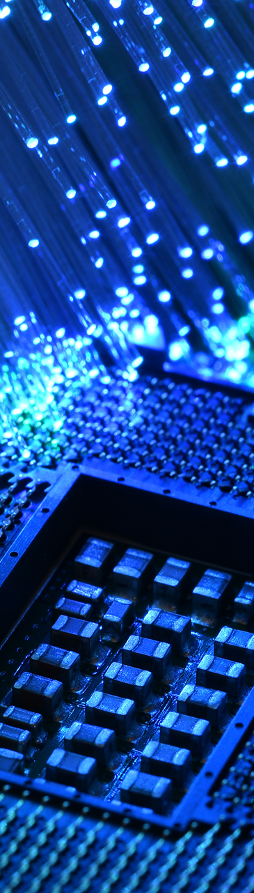 Chip Observer August 2025